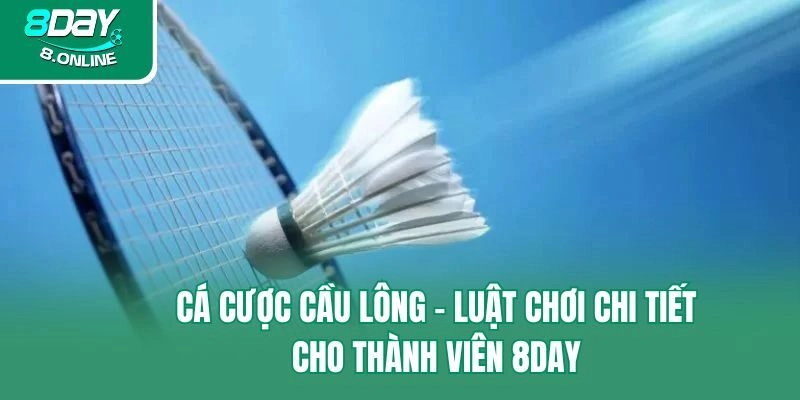 Cá Cược Cầu Lông – Luật Chơi Chi Tiết Cho Thành Viên 8day