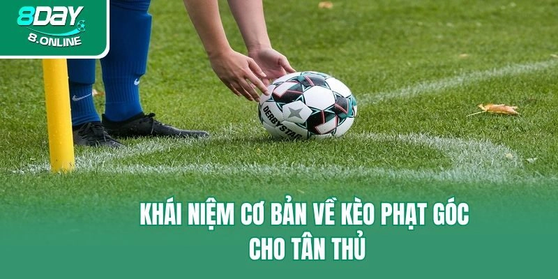 Khái niệm cơ bản về kèo phạt góc cho tân thủ