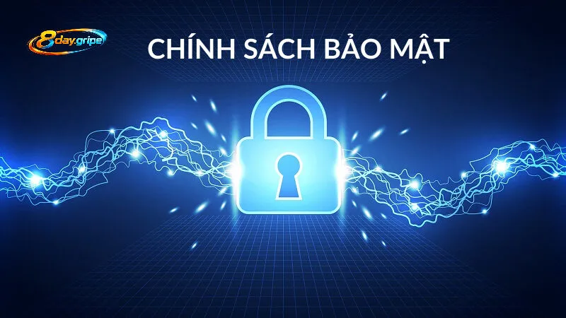 Quyền của người dùng khi tham gia 8day